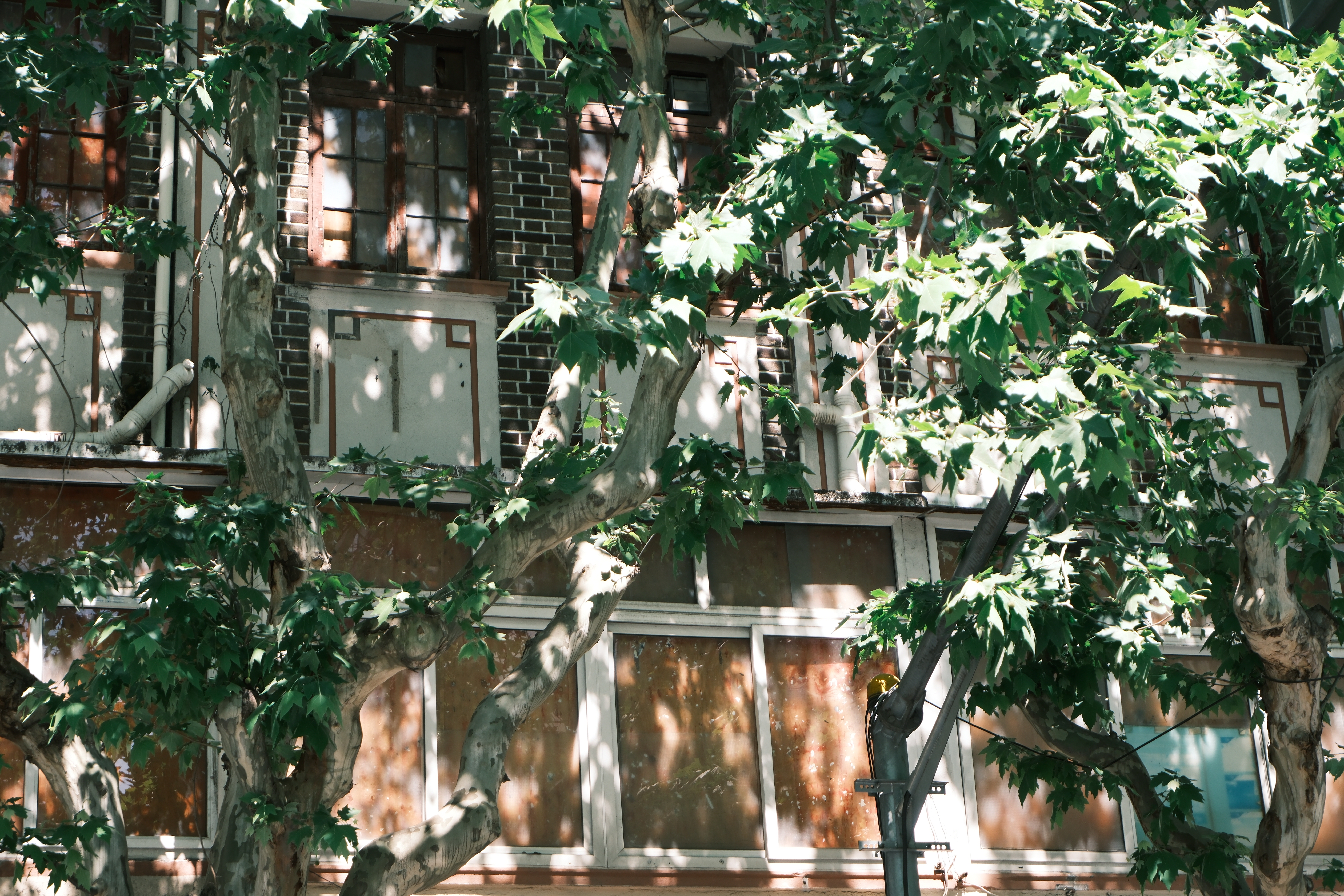 这张图我是真的蛮喜欢的，采用了富士NC滤镜，在脑海里回忆起当时的场景就是这个样子